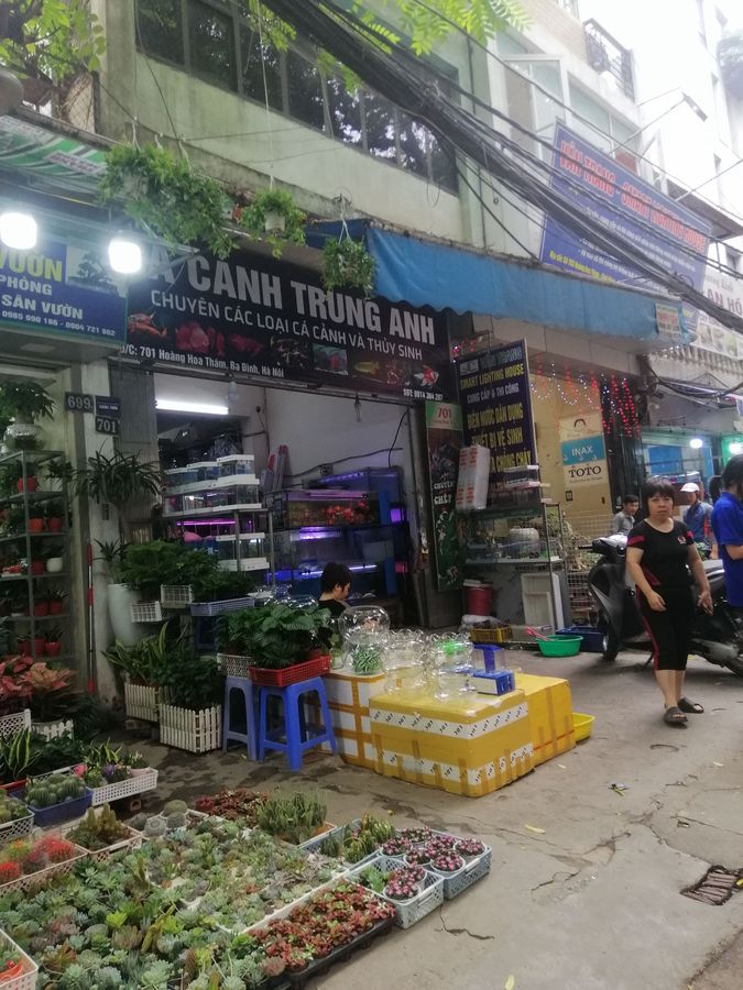 Bán nhà mặt phố Hoàng Hoa Thám, Ba Đình 118m2 x 3T - MT 5m- 40 tỷ