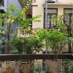  60m2 - 1