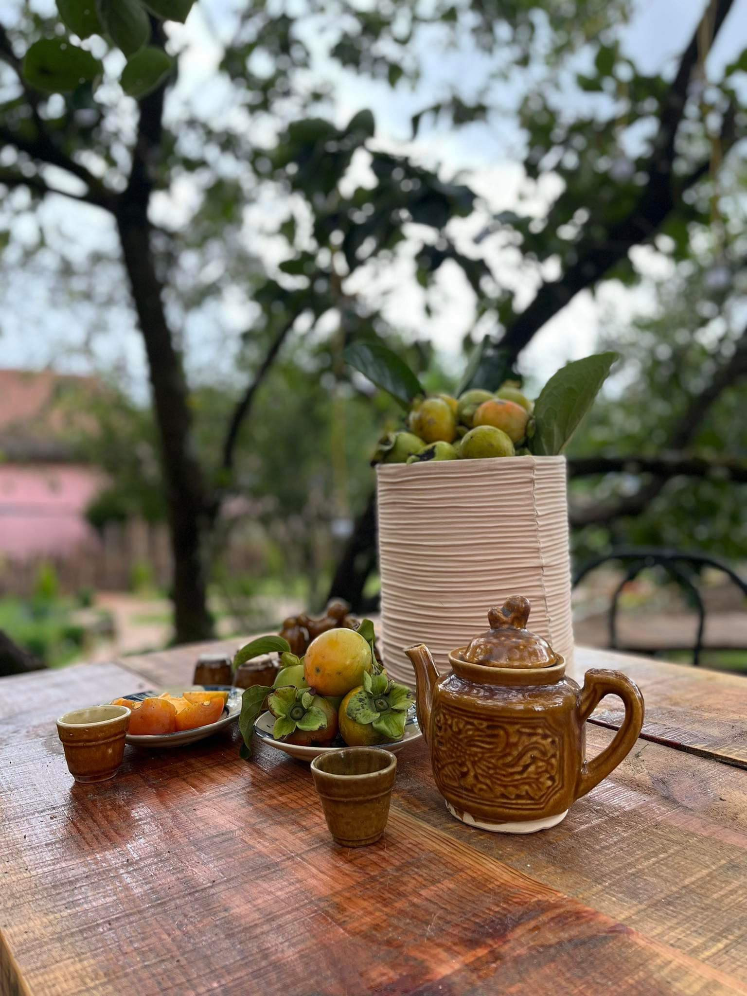 Em Cần Cho Thuê/ sang nhượng Villa Thuộc Phường 5 Tp. Dalat