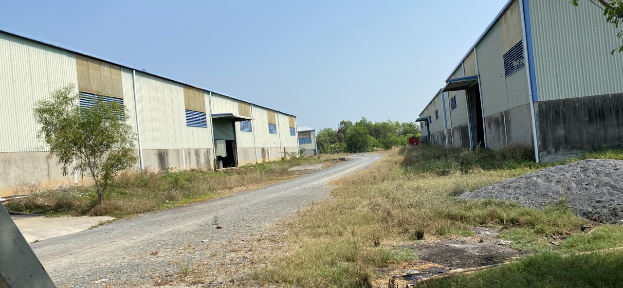 Đất 48,000m² Gò Dầu, Tây Ninh: Cơ Hội Đầu Tư Đa Dạng