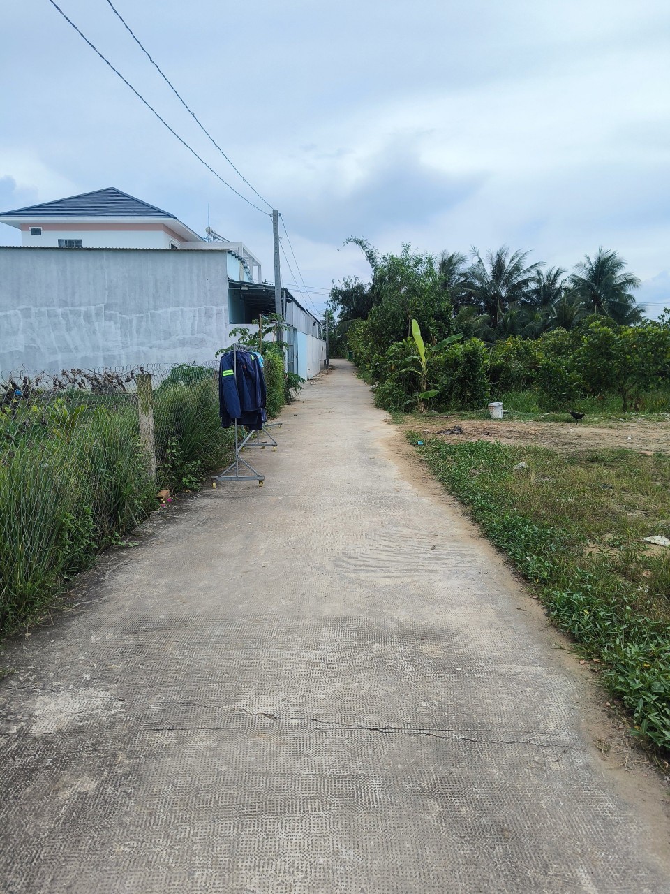 ĐẤT THỔ CƯ,ĐT 833 ẤP BÀ PHỔ,XÃ BÌNH THẠNH,THỦ THỪA,LONG AN 180m2(5x36) 850 TR TL