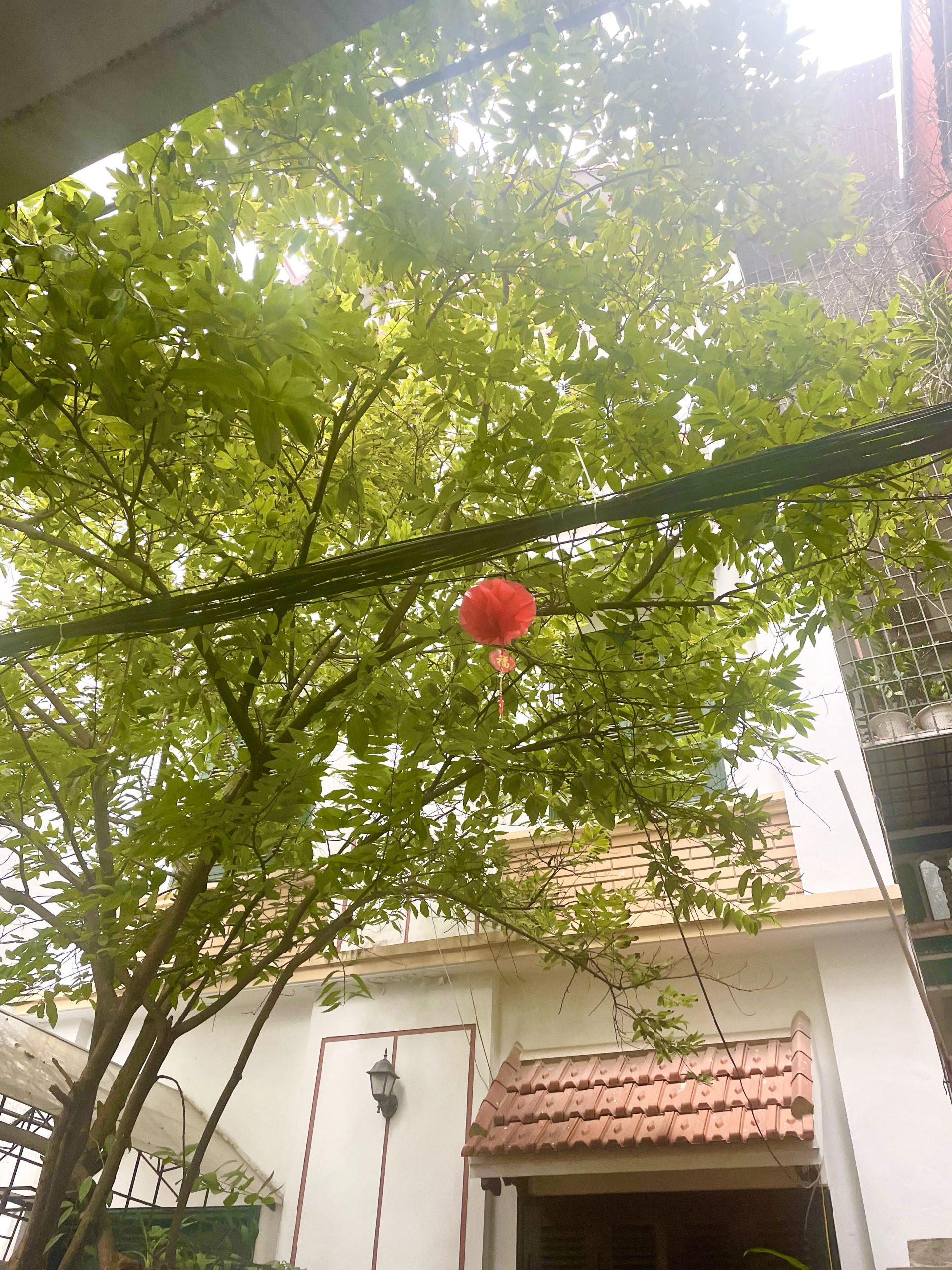 NHÀ Ô TÔ ĐÕ CỬA S:35m2 x 5TẦNG, MT: 5 M. GIÁ CHỈ 6 tỷ