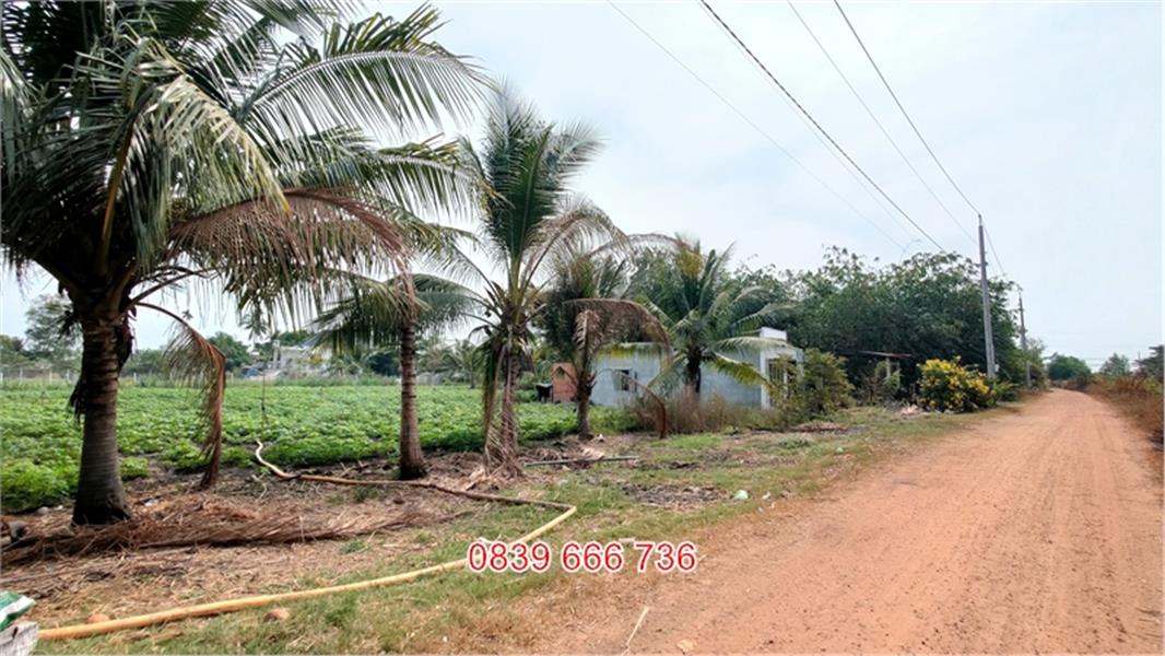 Mở Bán Độc Quyền: Diện Tích 28x44 - Đất Vườn Ưu Việt!