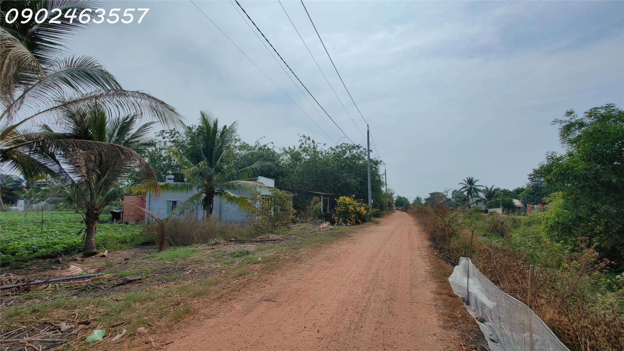 Khu Đất kiệt tác - diện tích S Lớn, Giá thu hút!