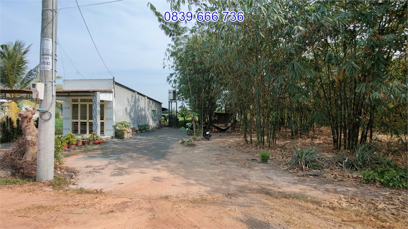 Đầu Tư Thông Minh - Đất Vườn Đẹp, Giá Hấp Dẫn