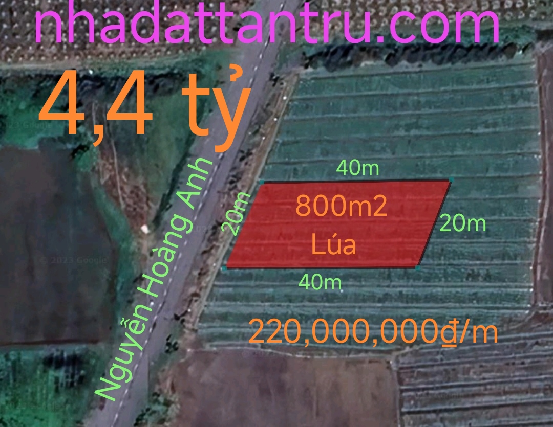 Bán gấp lô đất lúa chuyển thổ mặt tiền Đường Nguyễn Hoàng Anh giá 4,4 tỷ