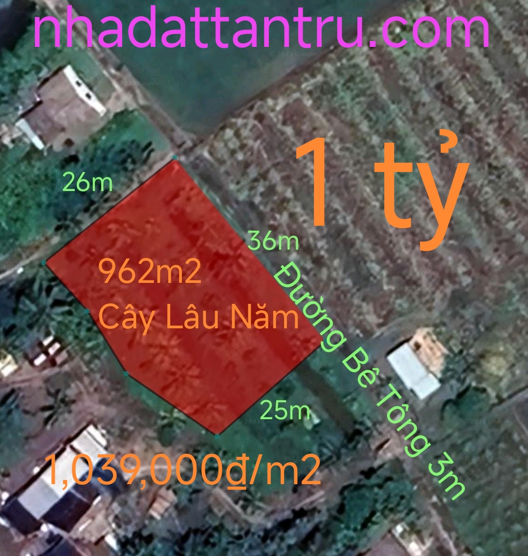 Bán lô đất cây lâu năm Tân Tru đường đan 3m giá 1 tỷ