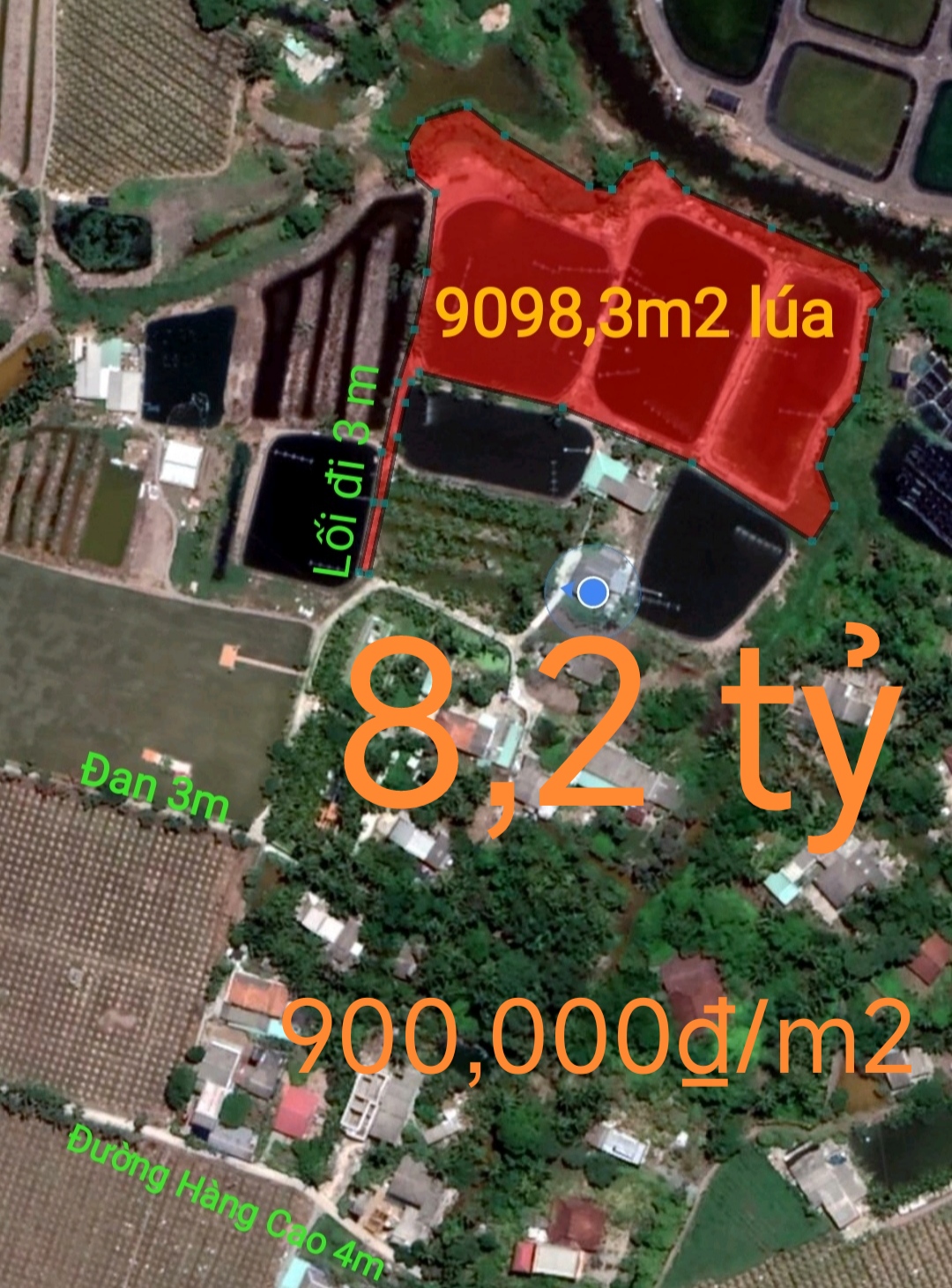 Bán lô đất lúa gần trục Quốc Lộ 50B giá 900 triệu/công( 8,2 tỷ)