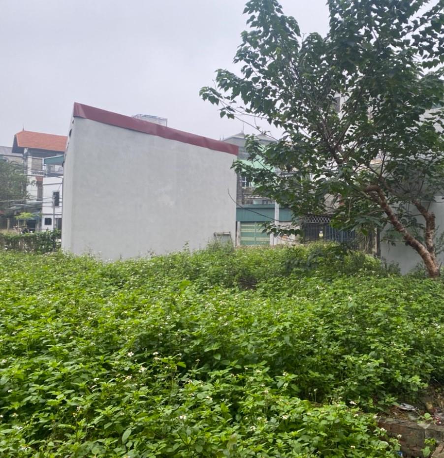 Bán DT38xMT4m Đất gần TT Văn Điển, Sổ Vuông Đẹp, Ngõ rộng 3mnNông, nhỉnh 1 tỷ