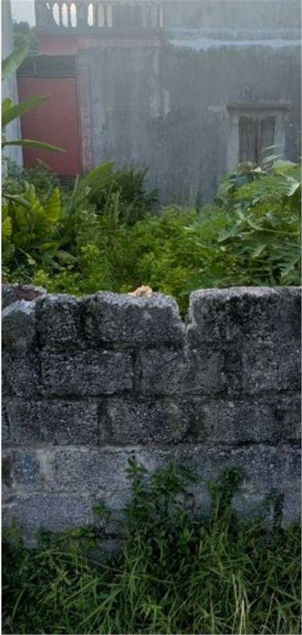 Bán đất DT57m, gần TT Huyện Thanh Trì, có nhà cho thuê dòng tiền nhỉnh 3tỷ