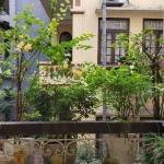  60m2 - 1