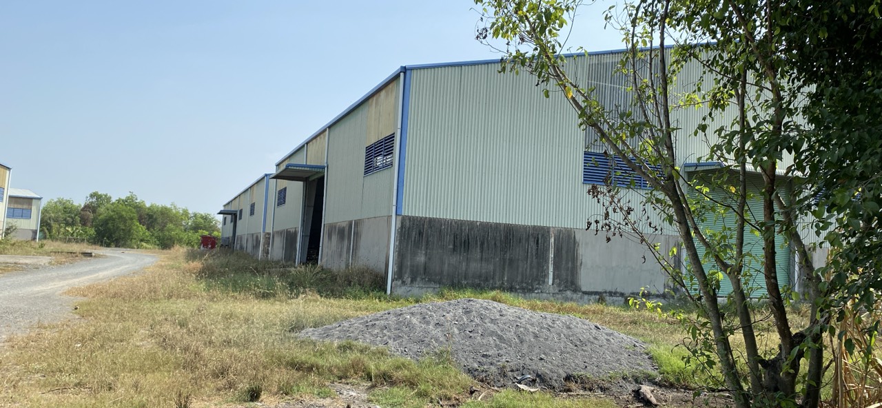 Chính chủ muốn chuyển nhượng diện tích đất đắc địa tại Ấp Cẩm An, Xã Cẩm Giang, huyện Gò Dầu, tỉnh Tây Ninh