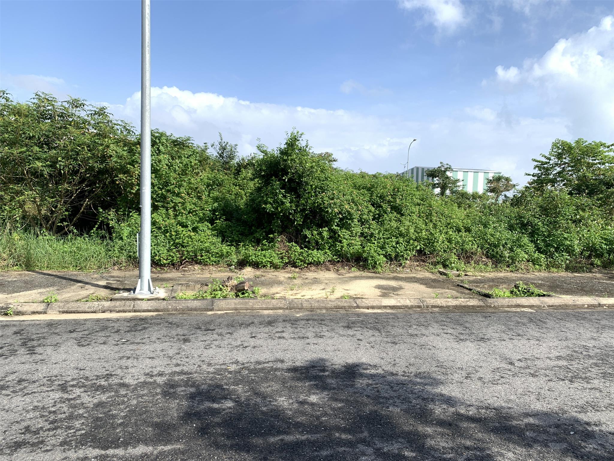 Bán đất FPT lô hướng nam v5 sạch đẹp