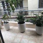  50m2 - 5