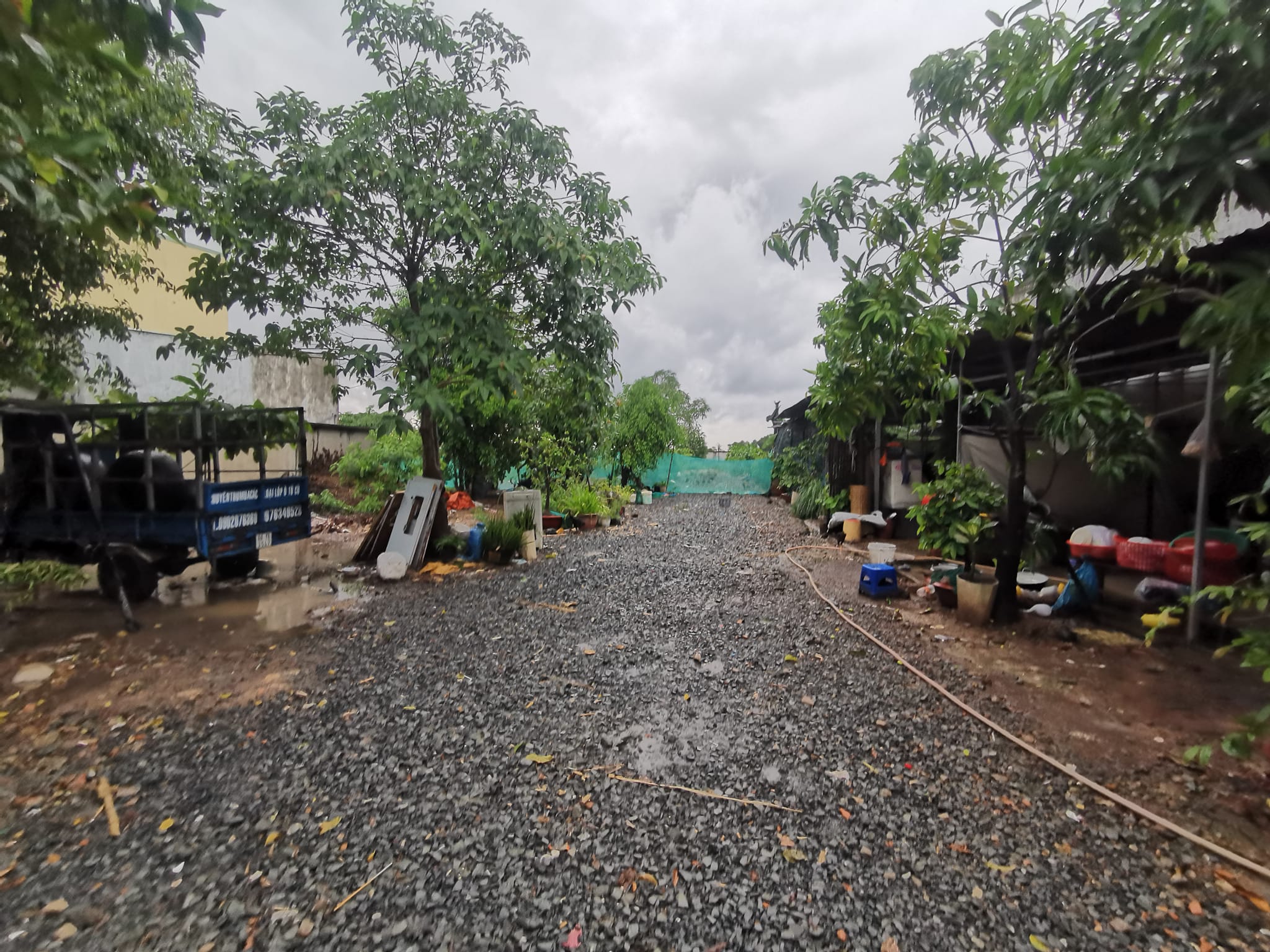 Mặt Tiền Quách Điêu Xuân Thới Thượng Hóc Môn 5300m2 Chỉ Còn 60 Tỷ