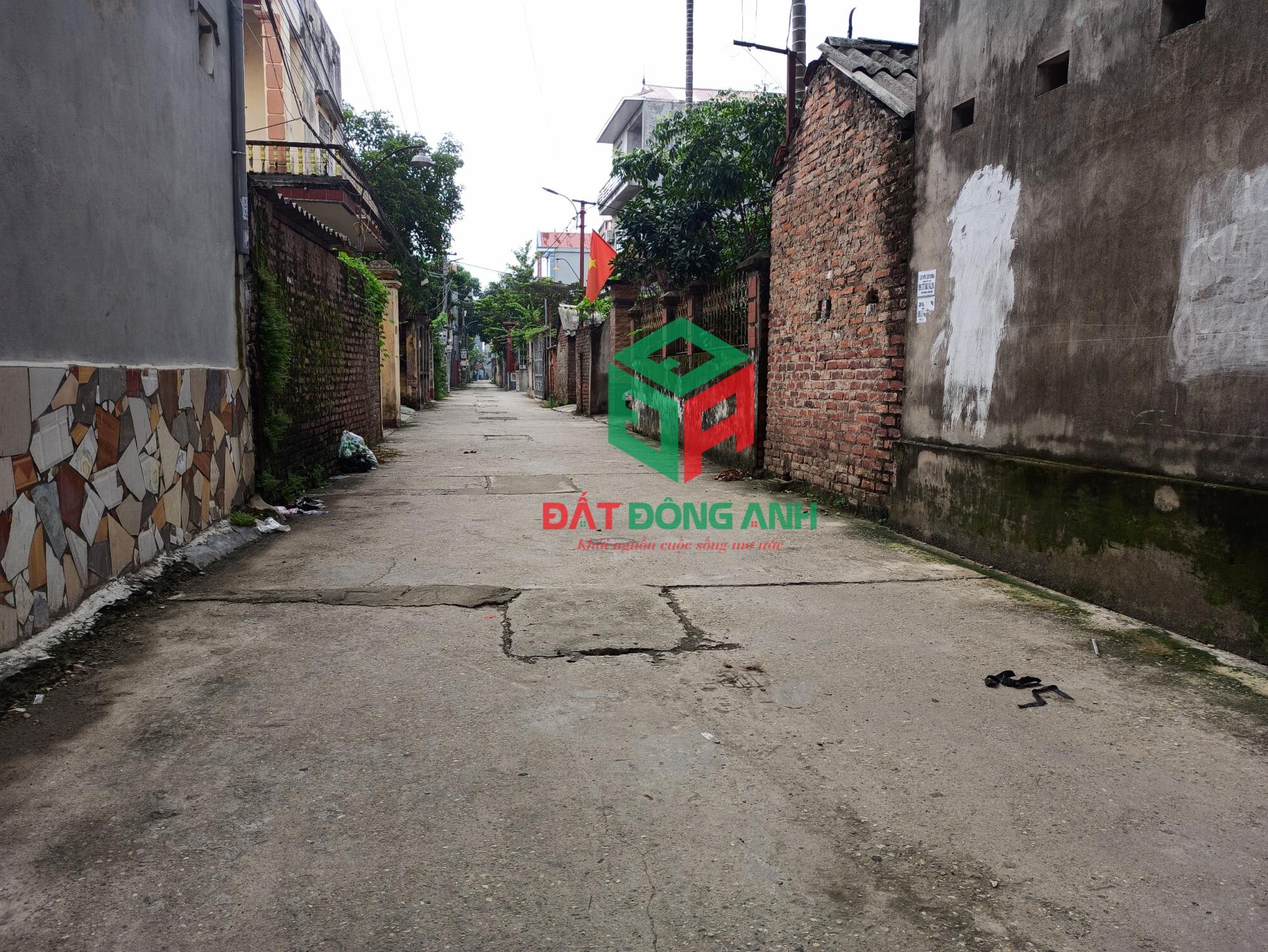 ✅ Bán đất Thuỵ Hà Bắc Hồng - 50m - Lô góc - Đường thông - Ô tô