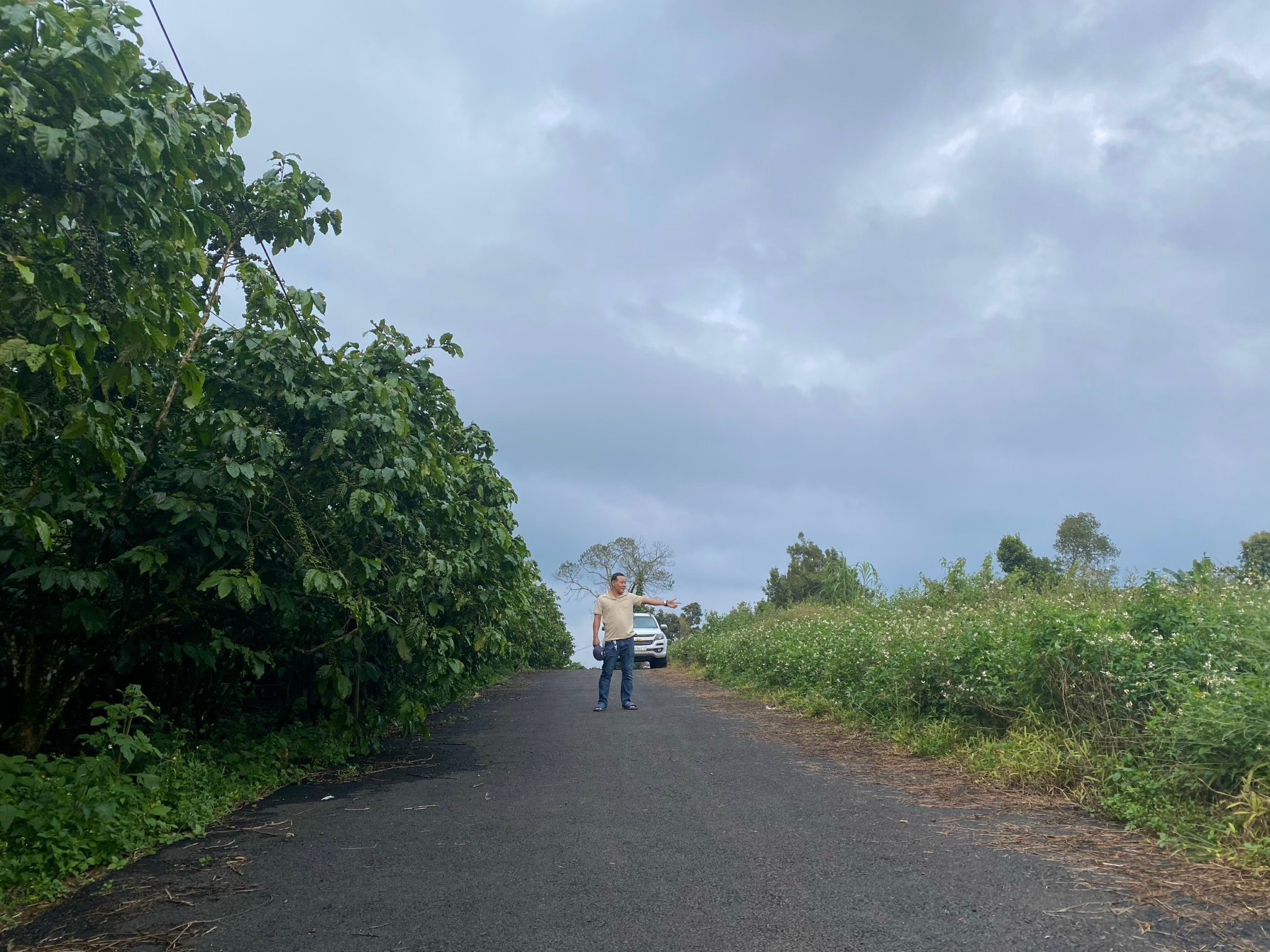 Bán đất Huyện bào lâm lâm đồng giá 439tr