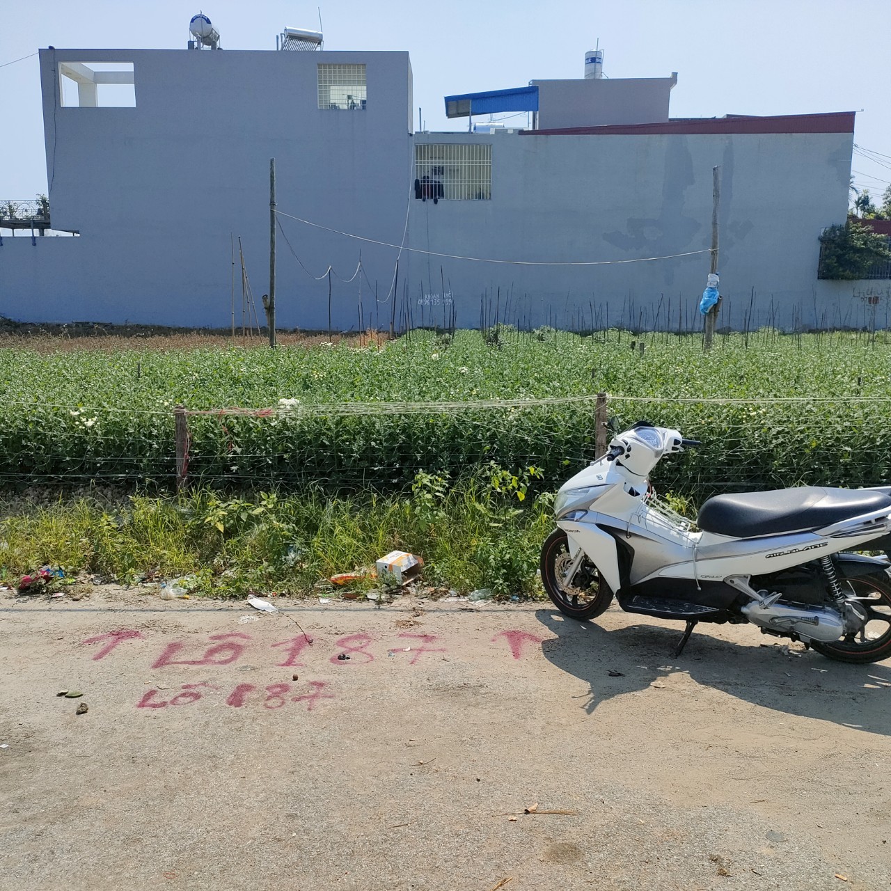 Bán lô đất 100 M đường 30 M tái định Cư Gốc Lim Mai Trung Thứ Lũng Đông Hải An