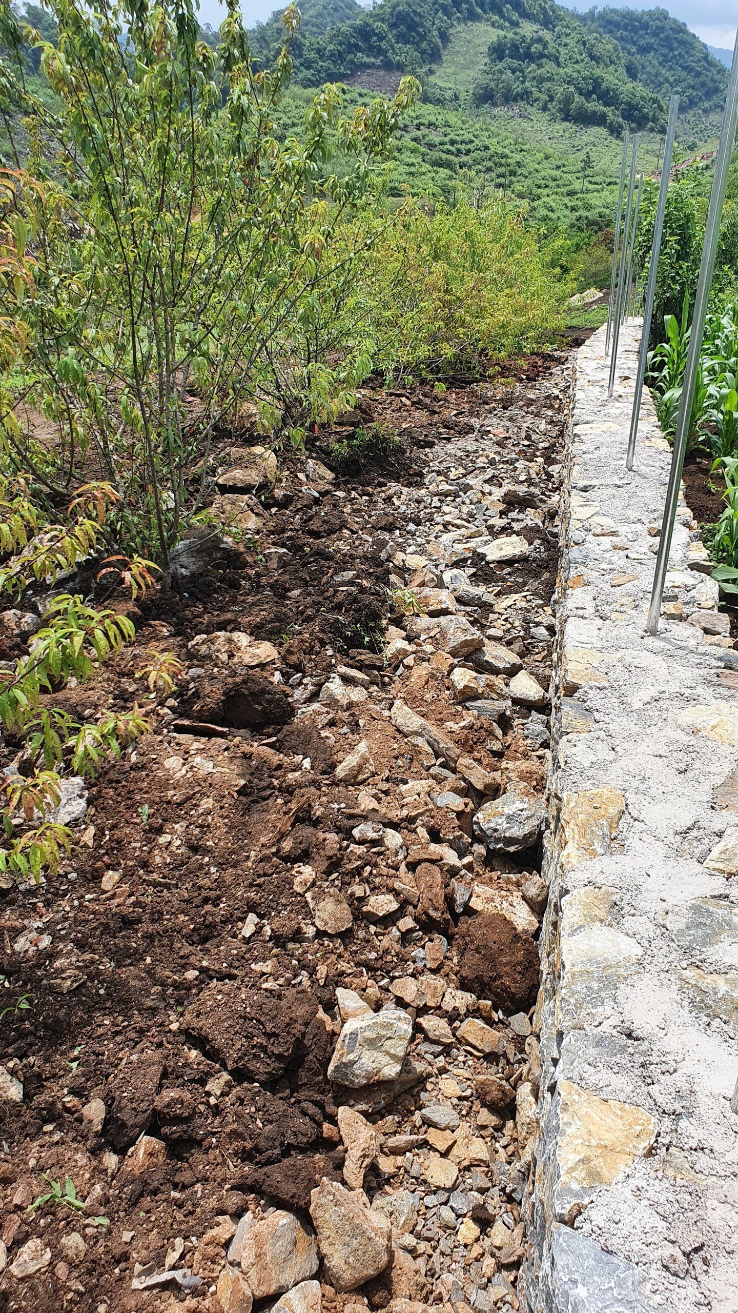 ĐẤT NGỘP MỘC CHÂU PHÙ HPOJW ĐÓN SÓNG CAO TỐC HN-HB-MC