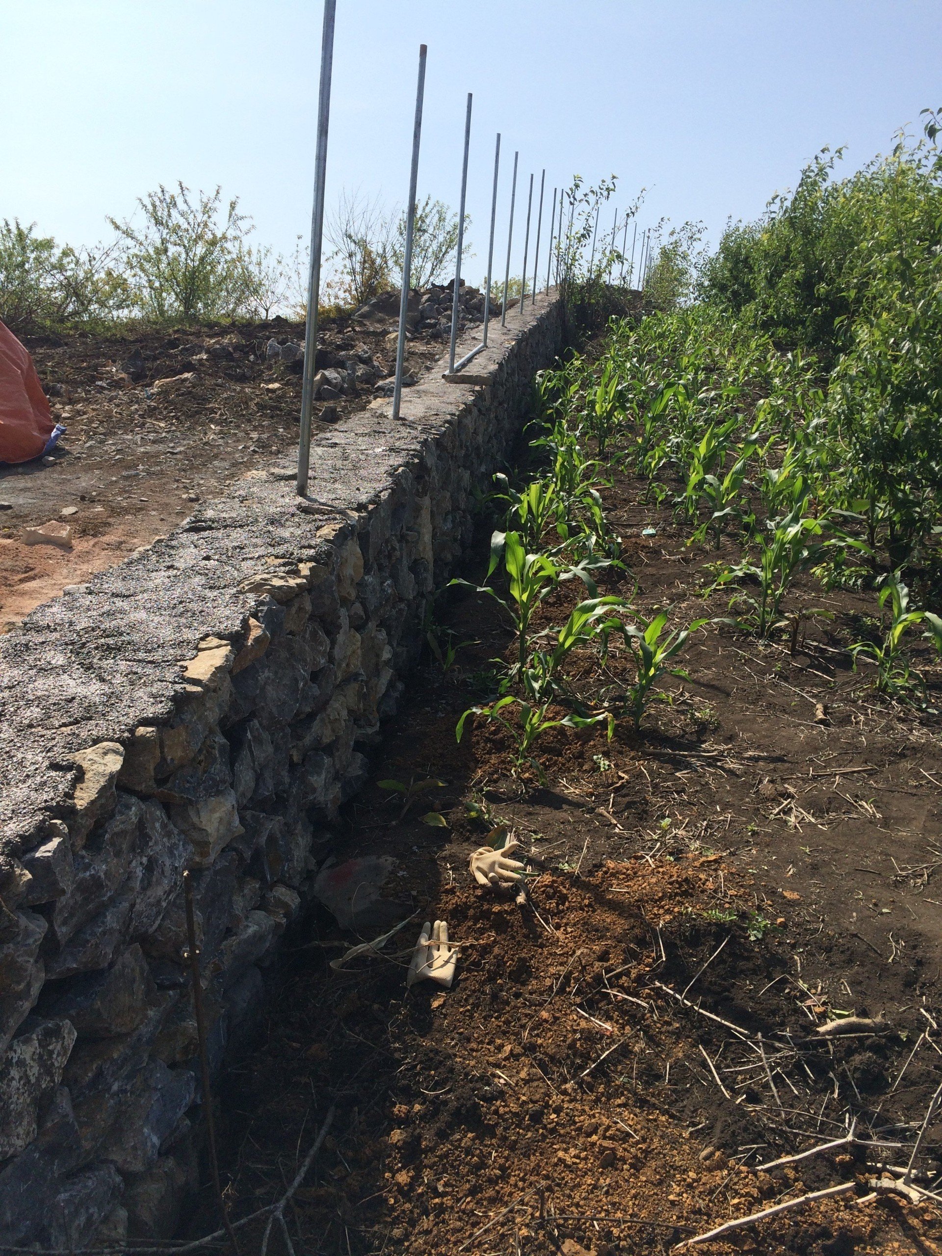 SIÊU PHẨM ĐẤT NỀN MỘC CHÂU CHÍNH CHỦ THÍCH HỢP LÀM NHÀ VƯỜN CỰC TỐT