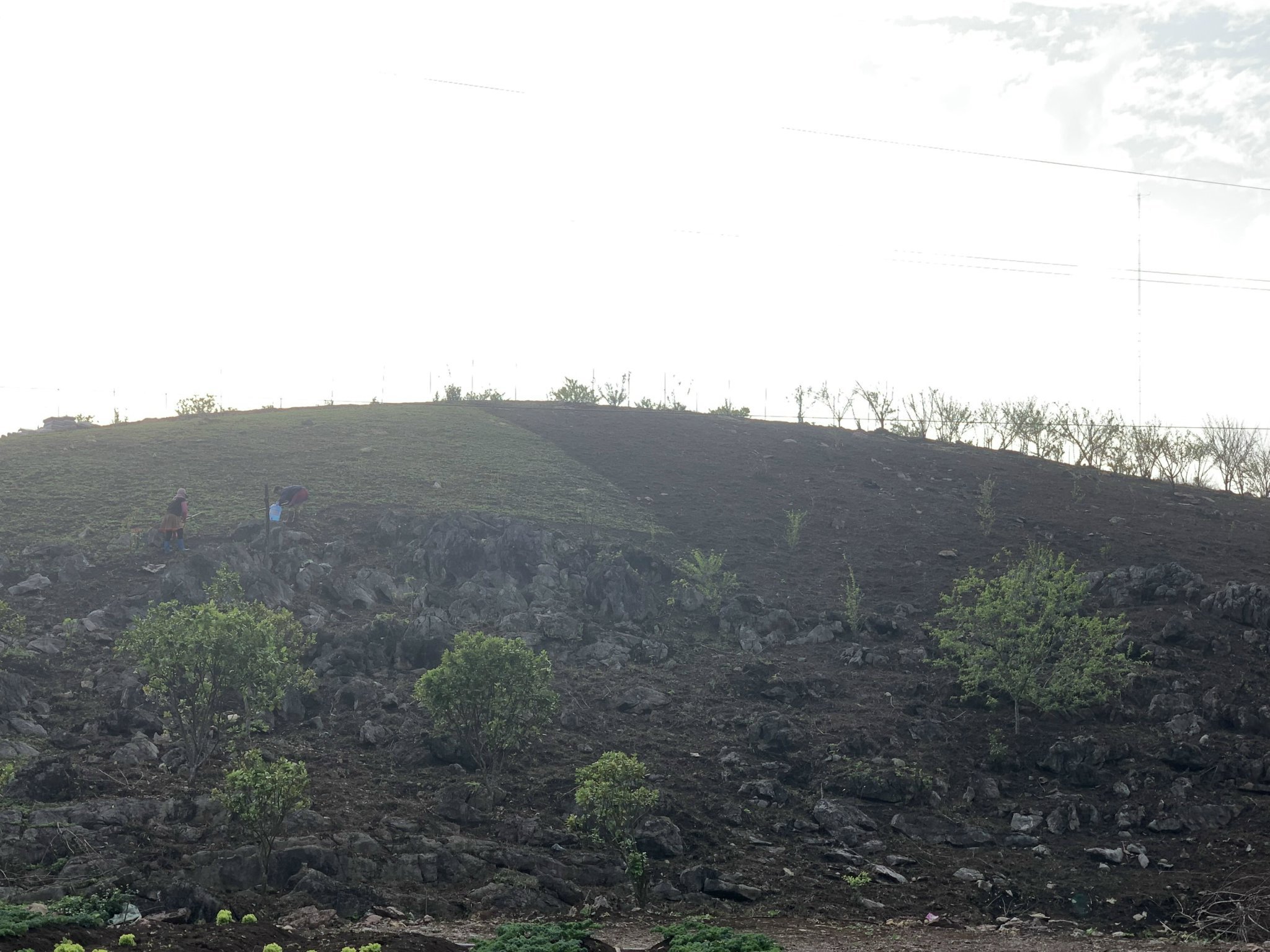 LÊN CHO CẢ NHÀ LÔ ĐẤT NGỘP MỘC CHÂU GIÁP SUỐI PHÙ HỢP LÀM FARMSTAY