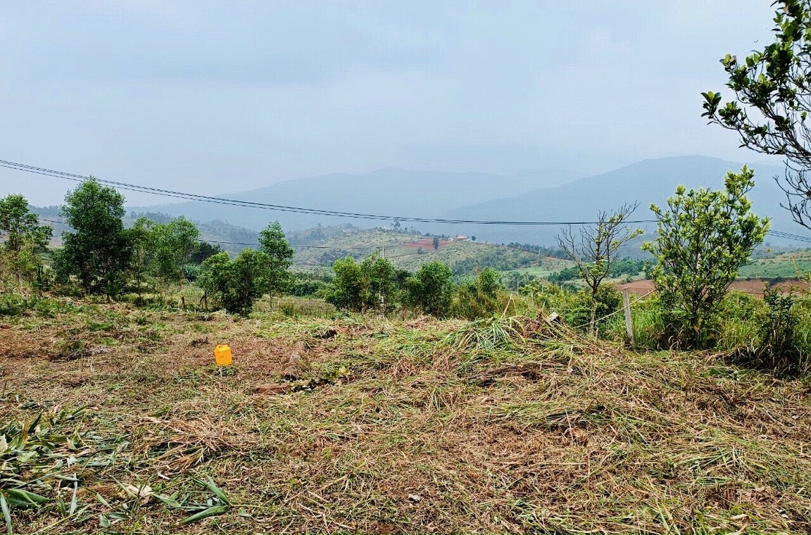 CHÍNH CHỦ CẮT LỖ MẢNH ĐẮT MĂNG ĐEN PHÙ HỢP ĐẦU TƯ