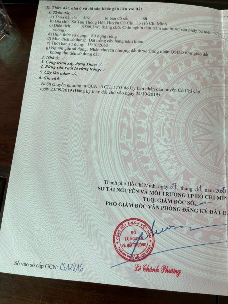 Cần Bán gấp lô 1,5 mẫu trên đất đã trồng kín Cà Na, tại xã Tân An Hội huyện Củ Chi TPHCM