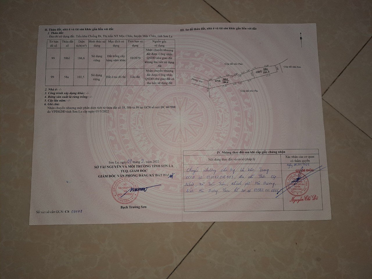 CẦN TIỀN TIÊU TẾT BÁN GẤP LÔ ĐẤT MỘC CHÂU GIÁ SIÊU RẺ