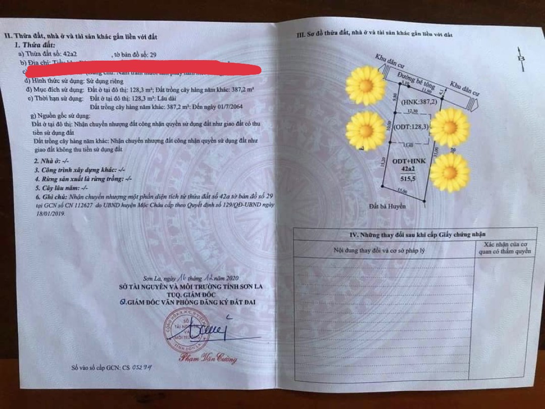 CẦN TIỀN TRẢ NỢ GẤP BÁN GẤP LÔ ĐẤT MỘC CHÂU GIÁ SIÊU HẠT RẺ