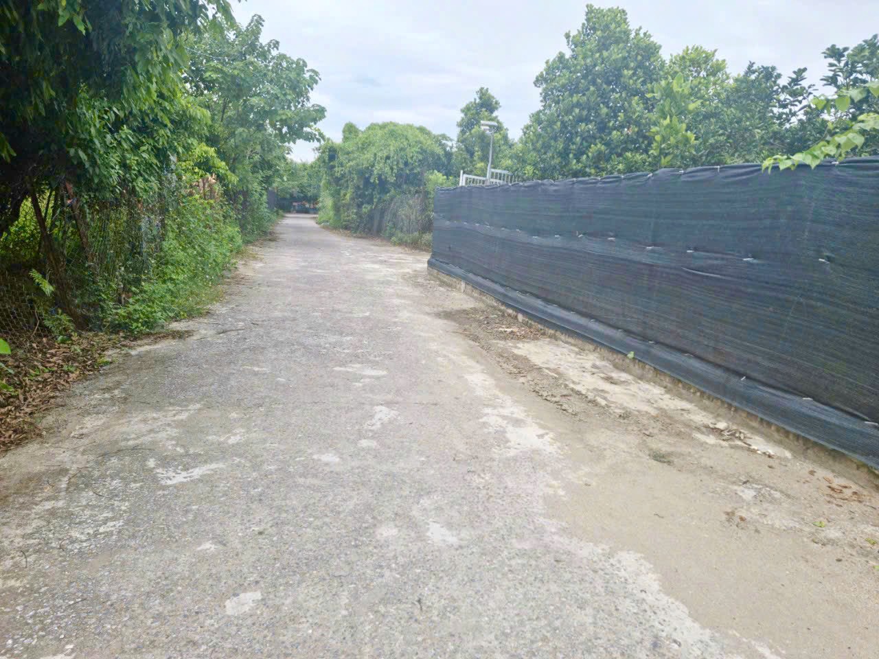 Chuyên giao dịch(Bán - Cho Thuê) đất khai hoang làm khu nghỉ dưỡng bãi giữa sông Hồng - Phường Tứ Liên - Tây Hồ - Hà