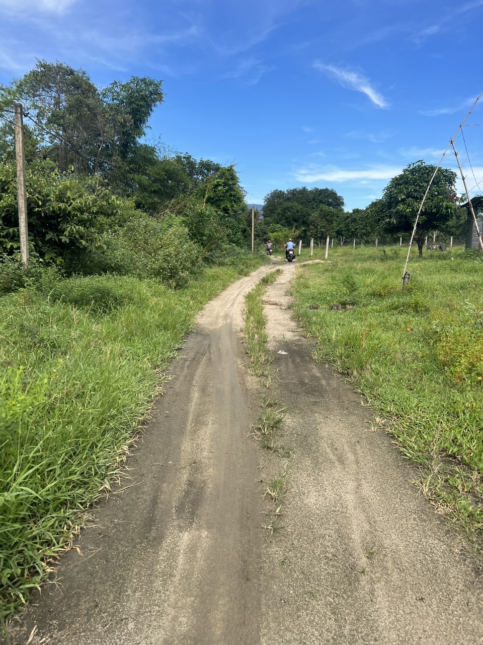 đất cây lâu năm gần 1 ha mà chỉ 1050 triệu đất bao đẹp