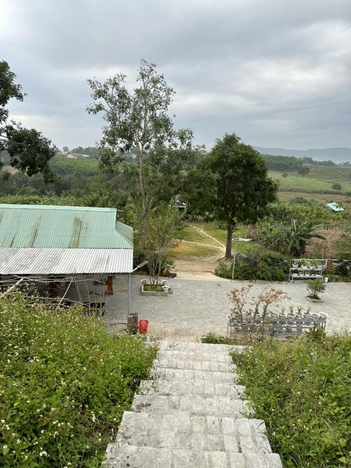 BÁN GẤP LÔ ĐẤT TẠI KHU PHỐ TRUNG HÒA, THỊ TRẤN CỦNG SƠN, HUYỆN SƠN HÒA, TỈNH PHÚ YÊN ( HIỆN ĐANG KINH DOANH QUÁN NHẬU