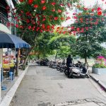  65m2 - 3