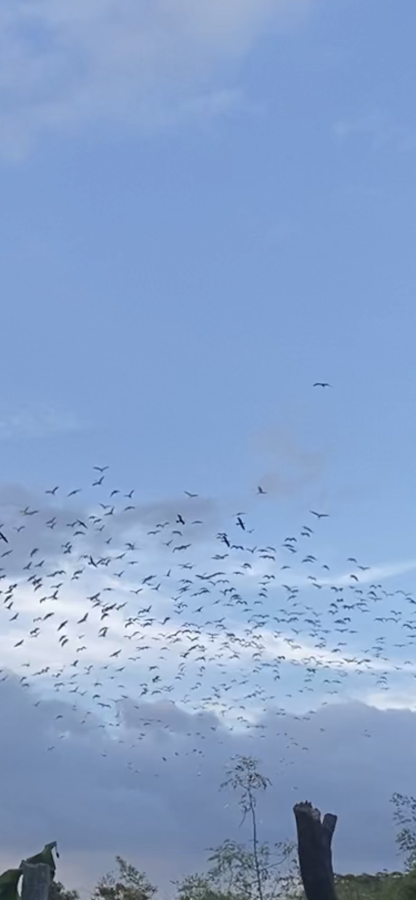 CHÍNH CHỦ CẦN BÁN ĐẤT TẶNG NHÀ CẤP 4 TẠI TP PLEIKU, TỈNH GIA LAI