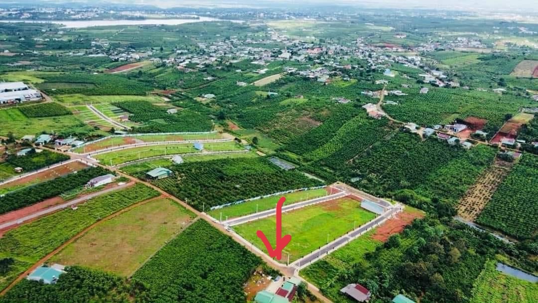 chủ ngộp bán lô đất 10x20 mặt tiền đường nhựa Bảo Lộc Lâm Đồng 0985451850