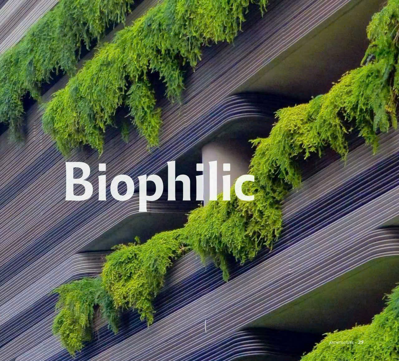 Lịch thanh toán đột phá của Elysian Biophic đầu tiên .