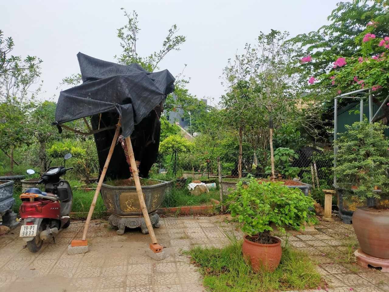 *CHÍNH CHỦ CẦN CHO THUÊ ĐẤT KINH DOANH TRỤC CHÍNH ĐƯỜNG NGUYỄN TẤT THÀNH _ VIỆT TRÌ _ PHÚ THỌ *
