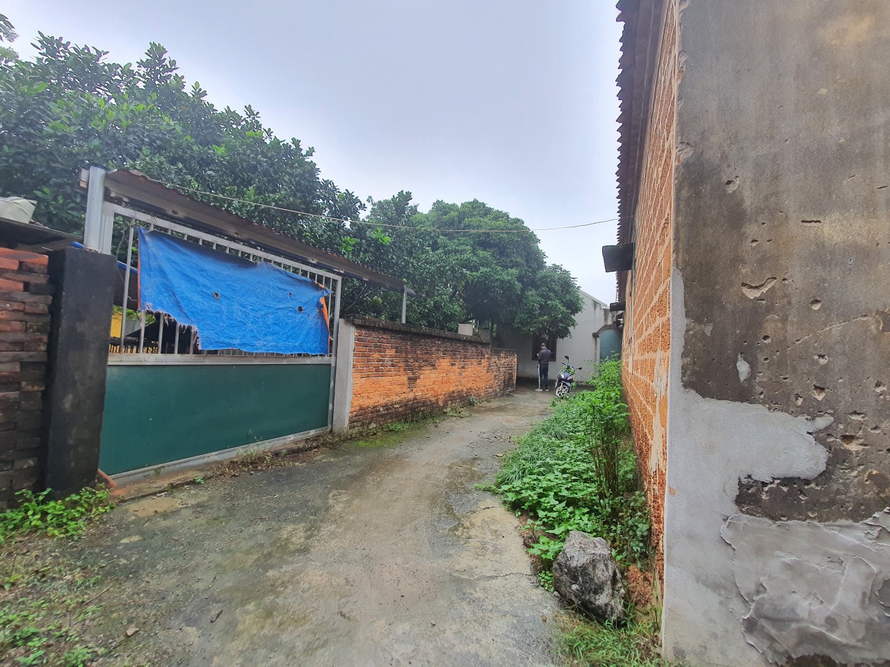 107m Đông Phương Yên- chương mỹ chỉ hơn 700tr chính chủ