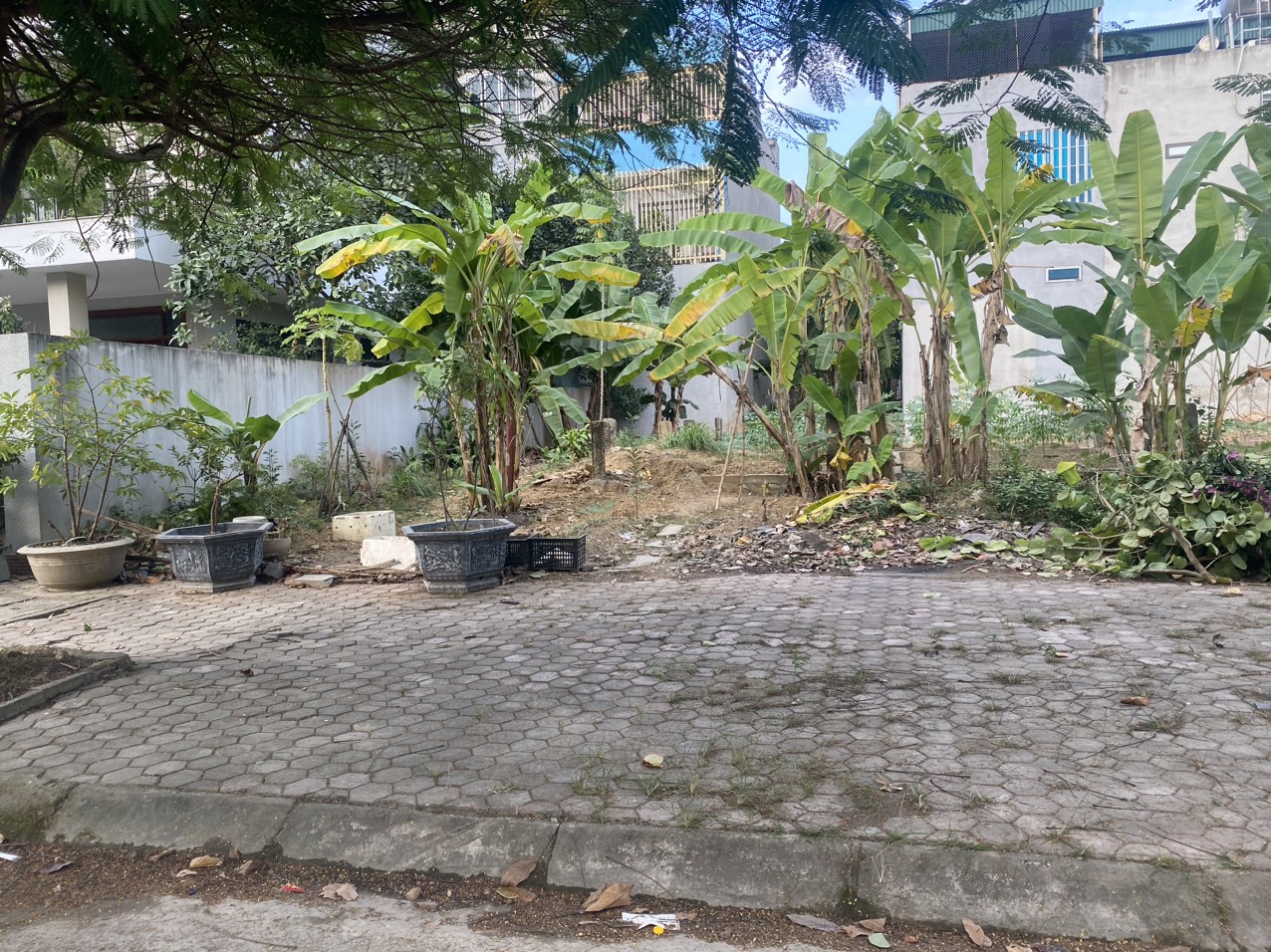 NGỘP QUÁ CẦN BÁN GẤP LÔ ĐẤT TẠI THỊ XÃ BỈM SƠN