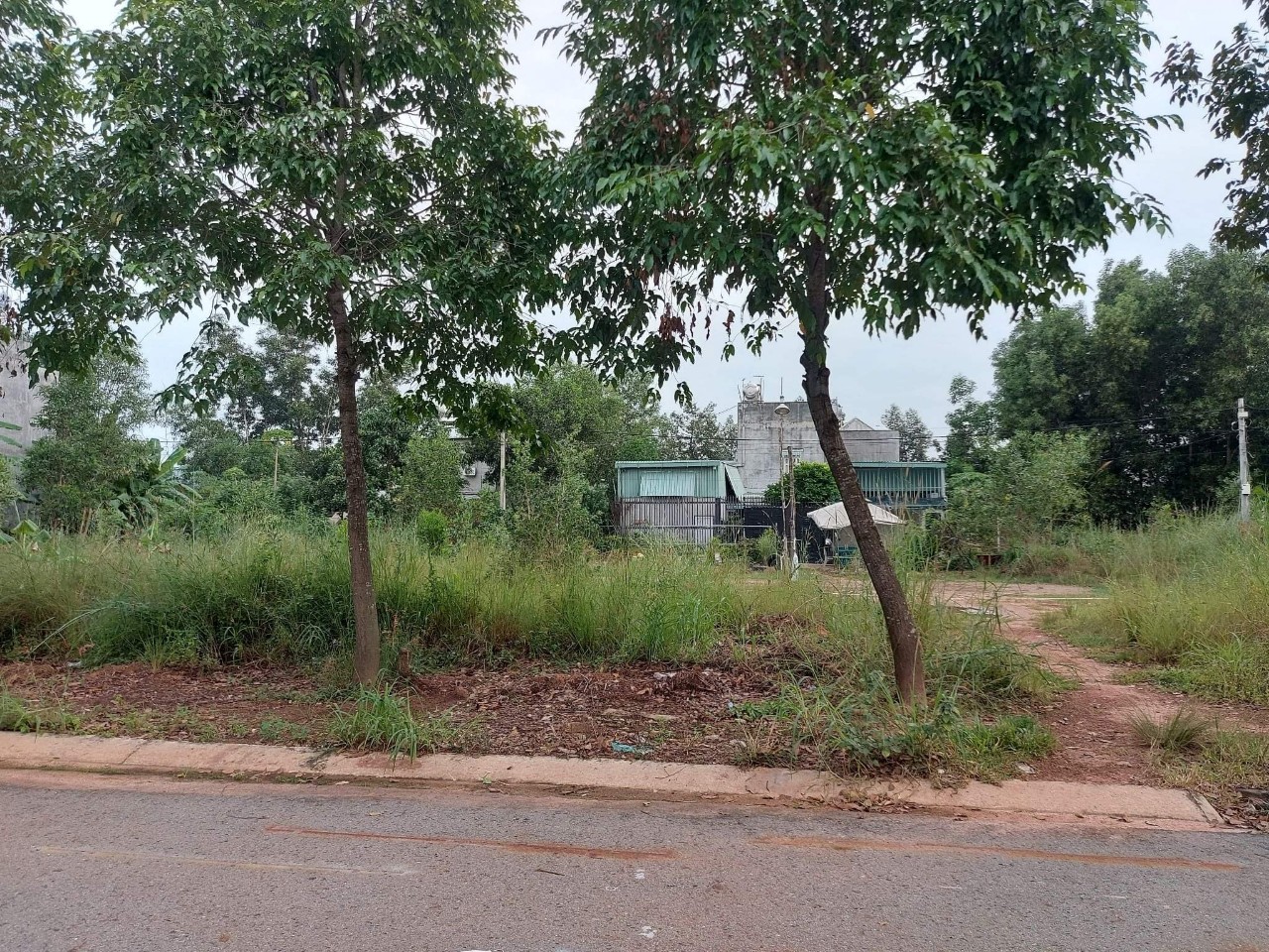 Bán lô đất đẹp Kdc Mỹ Phước, Bến Cát, Bình Dương