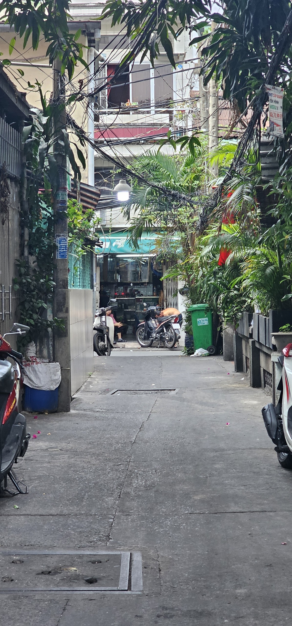 Nhà rẻ đẹp Ngang 3.7 x13m đúc mới 4 tấm có 5 tỷ Giảm 500 triệu TÔN ĐẢN Q4