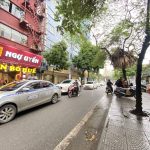  50m2 - 1