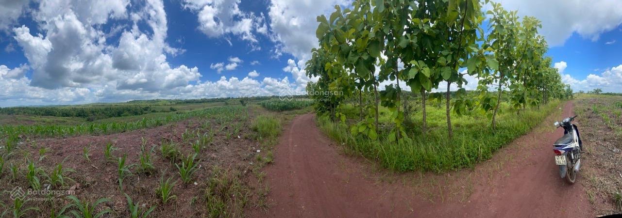 Bán đất chính chủ tại xã Quảng Hiệp, huyện Cư M'gar, tỉnh Đắk Lắk