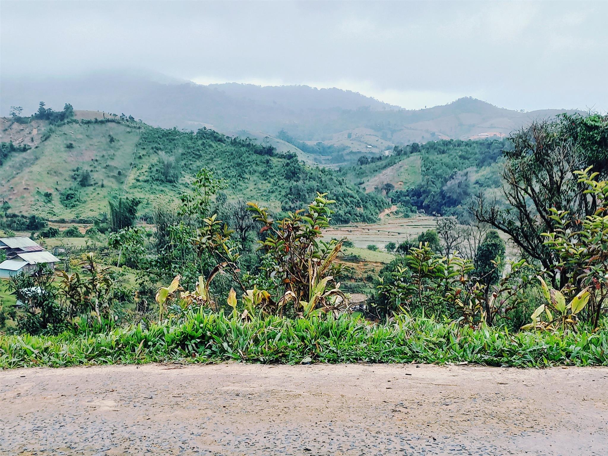 Bán lô đất Măng Đen giá cực rẻ lấy tiền tiêu tết