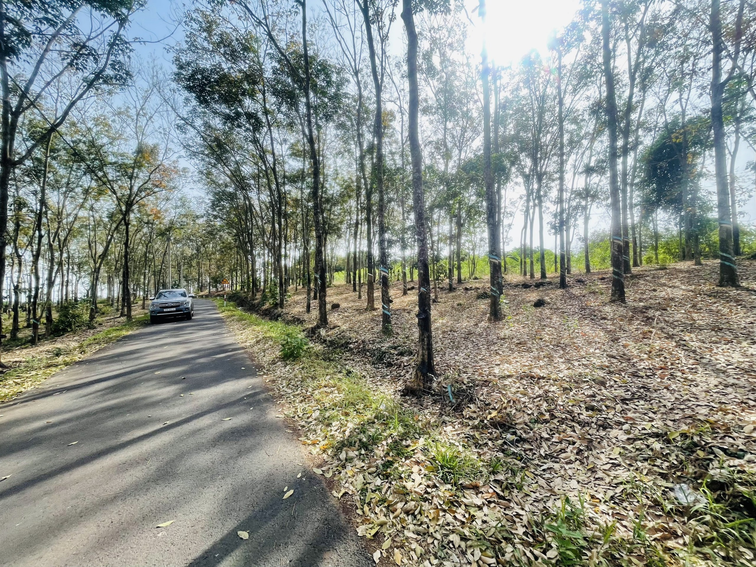 Chính chủ cần bán 5 lô đất đẹp liền kề nhau Tại Cẩm Đường- LONG THÀNH - ĐỒNG NAI.