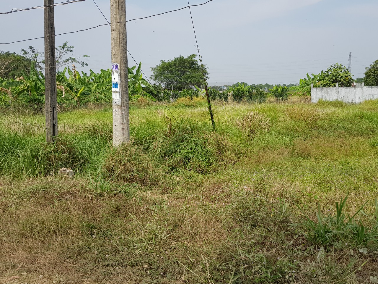 Chính chủ cần bán Lô đất Mặt Tiền đường Quách Văn Tuấn, P.5, Tp Tân An - Long An