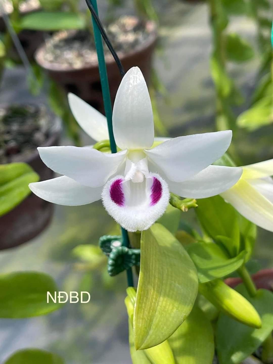 Giảm 500tr xuống còn 3.5 tỷ tl. VỊ TRÍ ĐẸP NHẤT LINH XUÂN. HẺM NHỰA RỘNG 5M.