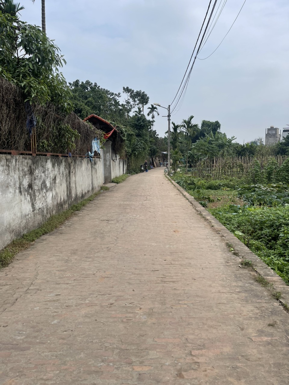 BẮC CẦU NGỌC THỤY - THỬA ĐẤT THOÁNG MÁT VUÔNG ĐẸP XUNG QUANH TOÀN CÂY ĂN QUẢ - Ô TÔ VÀO ĐẤT.