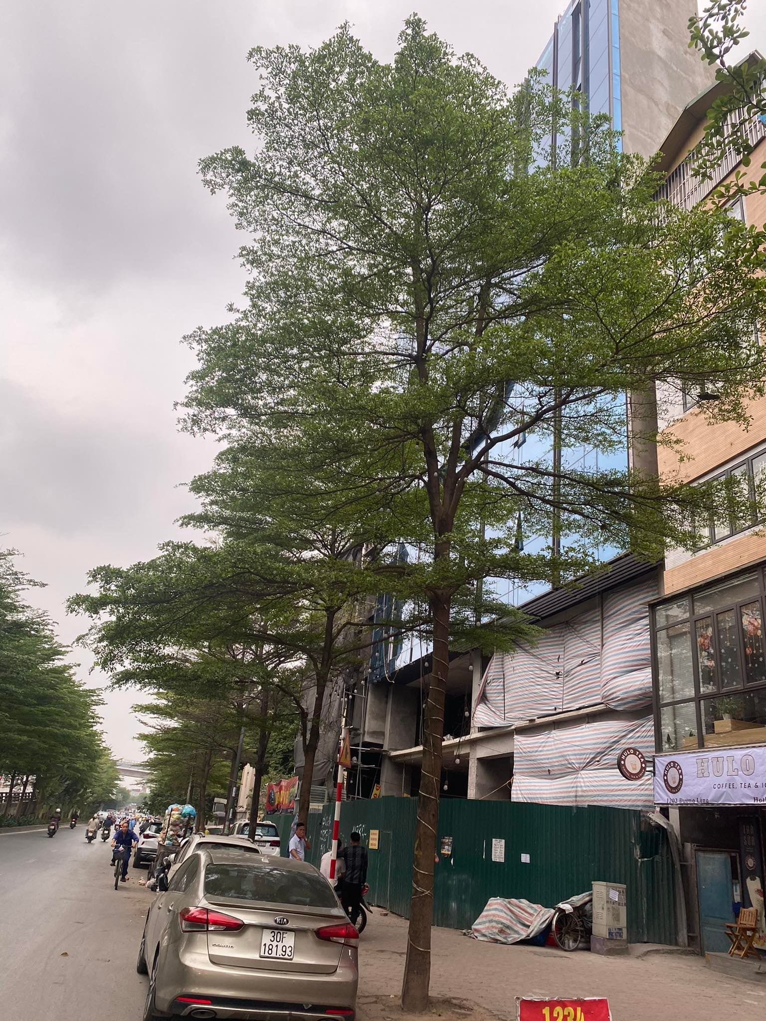 Bán Gấp! Tòa Nhà Vip, Mặt Phố Đống Đa - Phố Láng 242m x 10T, Mt 22. Giá 215 tỷ.