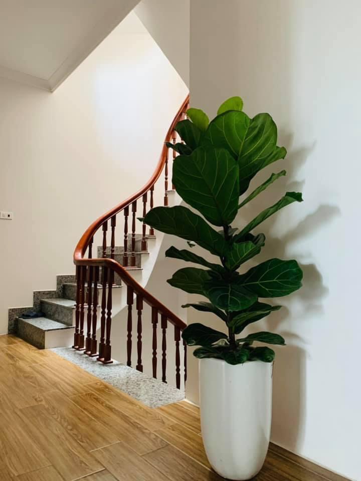 Bên em hiện có sẵn chuỗi nhà tại Ngọc Thụy- Long Biên cho thuê. Phù hợp nhiều mô hình.